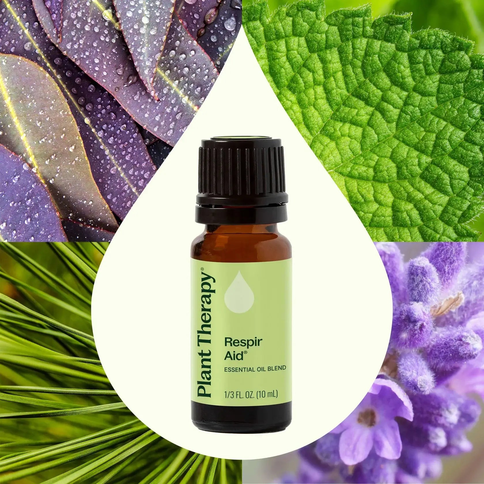 Respir Aid Essential Oil Blend 10 mL
