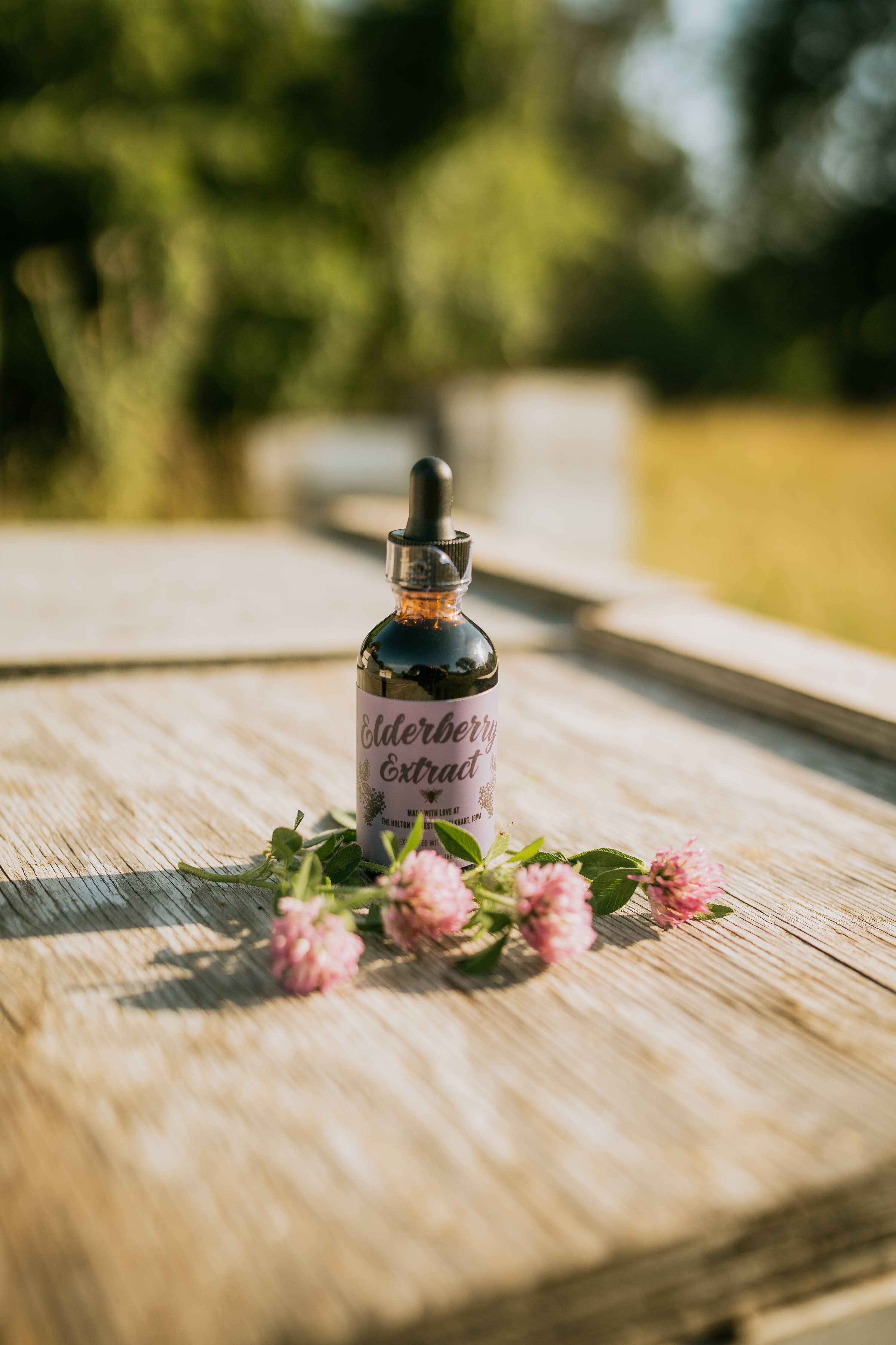 Elderberry Extract