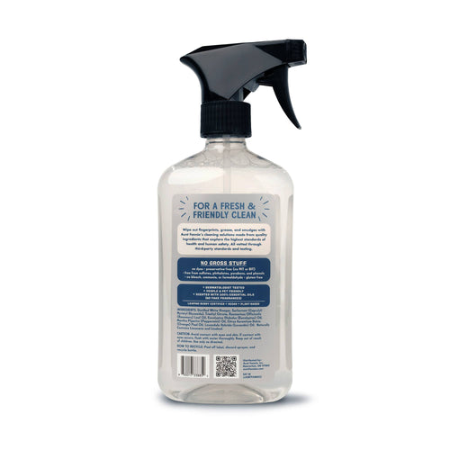 Aunt Fannie's - Stainless Steel Cleaner