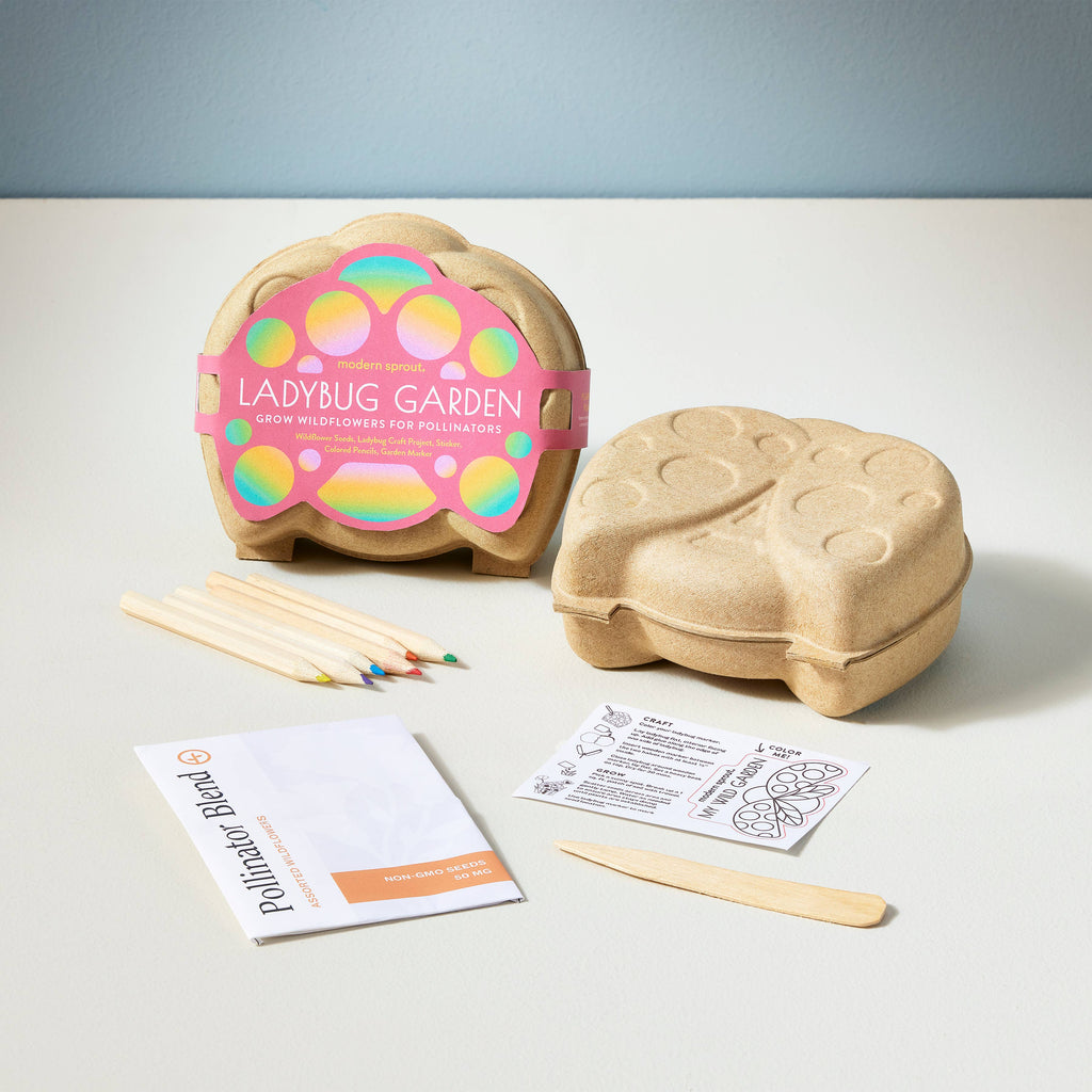 Modern Sprout - Curious Critters Activity Kit