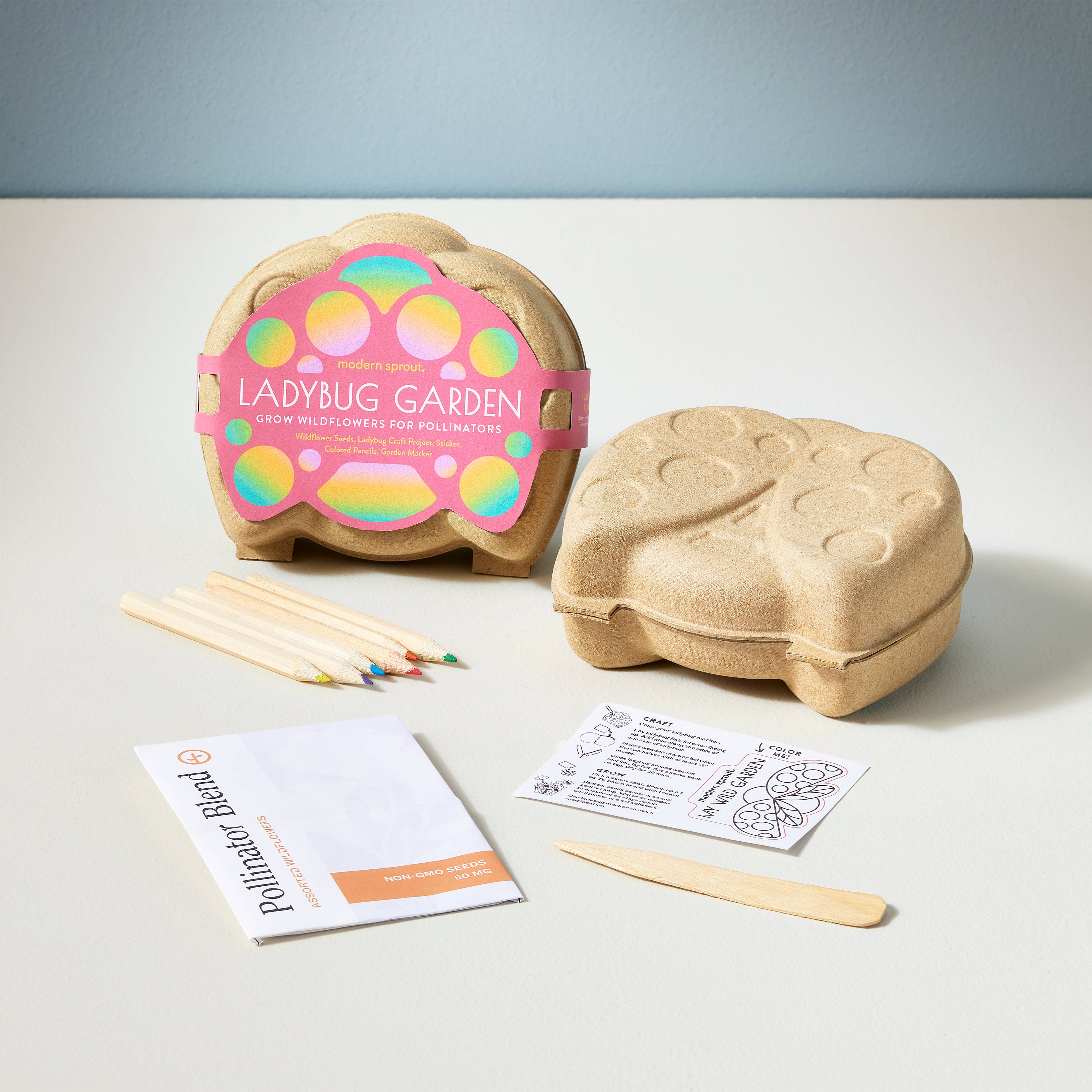 Modern Sprout - Curious Critters Activity Kit