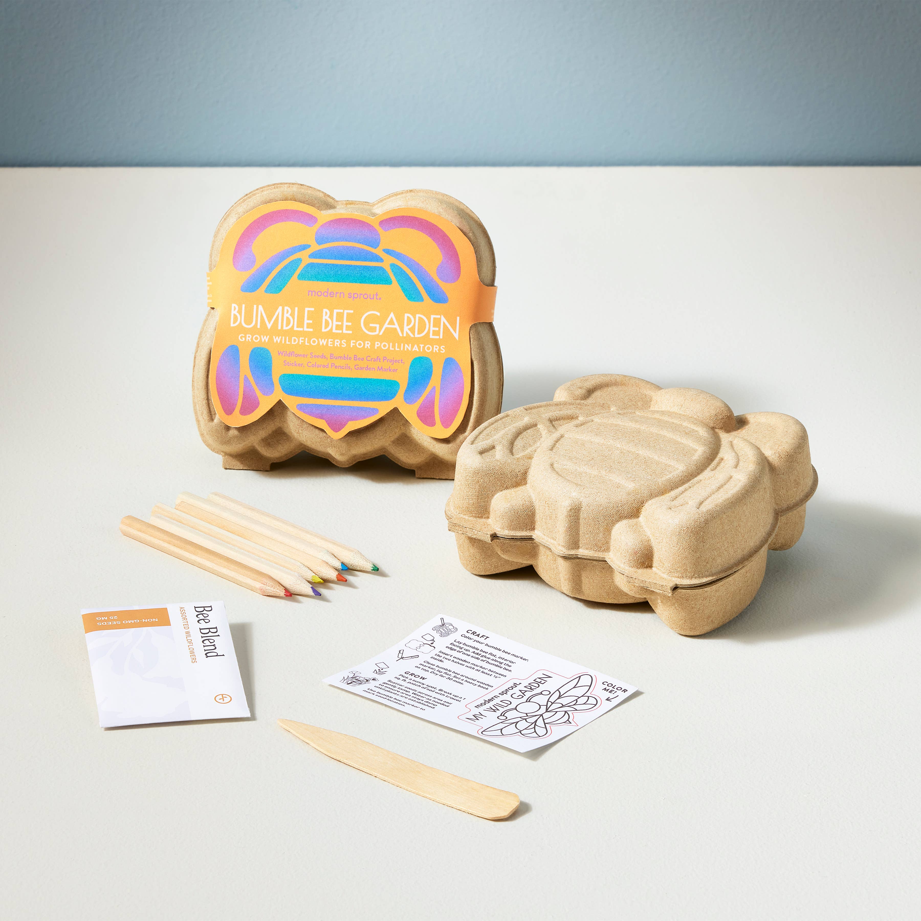 Modern Sprout - Curious Critters Activity Kit
