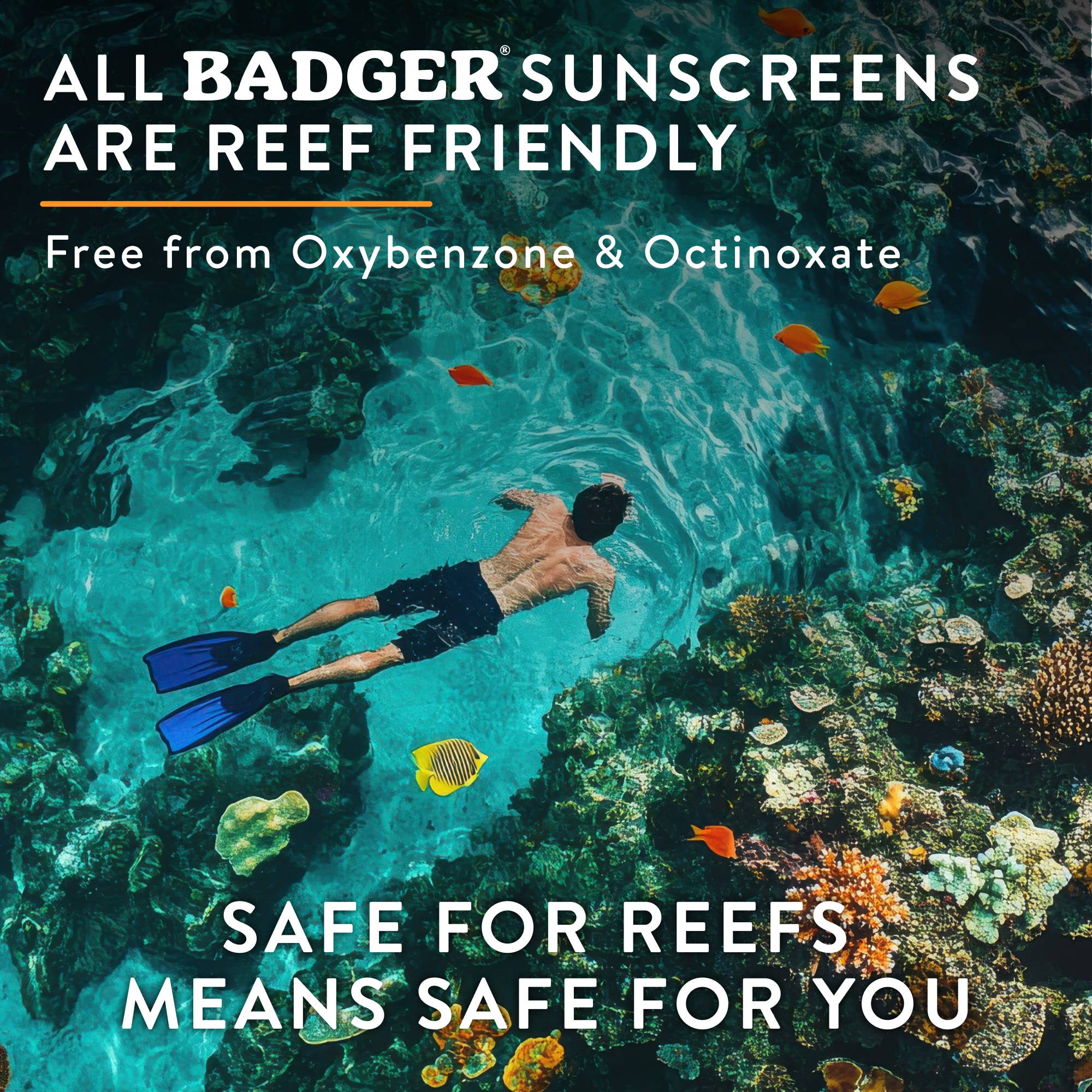 Badger - Badger Mineral Face Sunscreen SPF 30, with Zinc Oxide