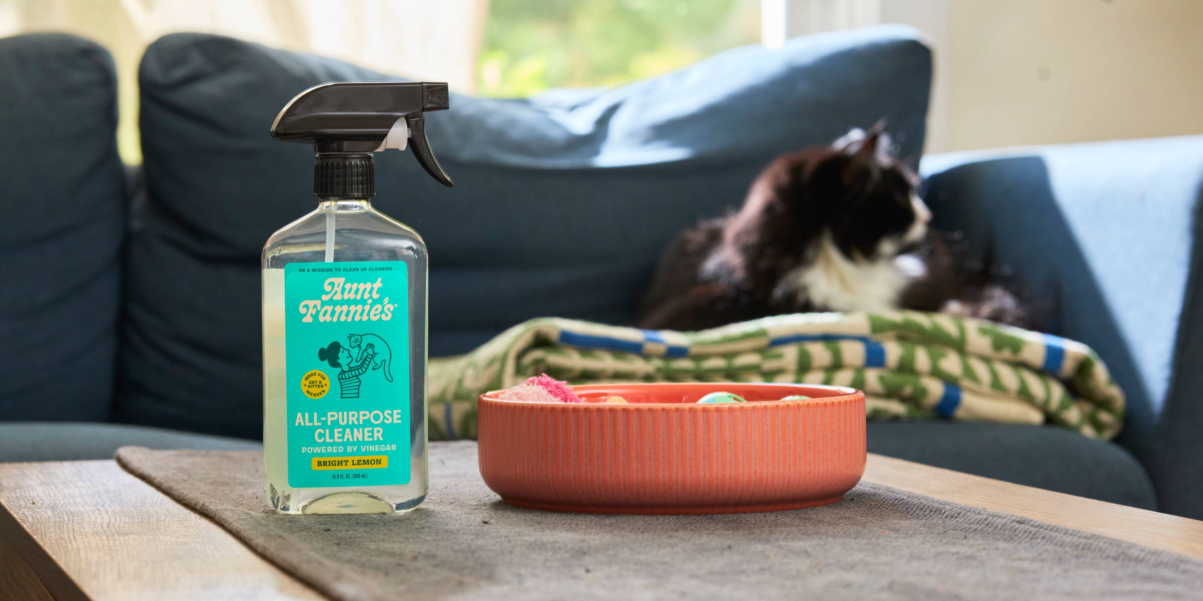Aunt Fannie's - Vinegar Cleaner - Bright Lemon (Great for Cats!)
