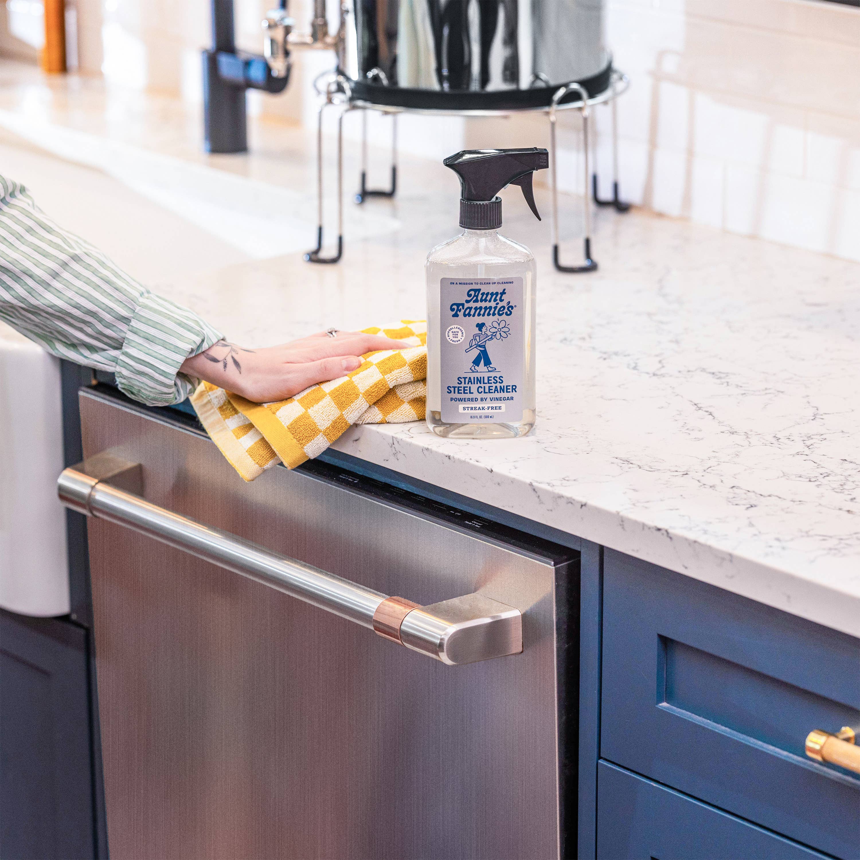Aunt Fannie's - Stainless Steel Cleaner