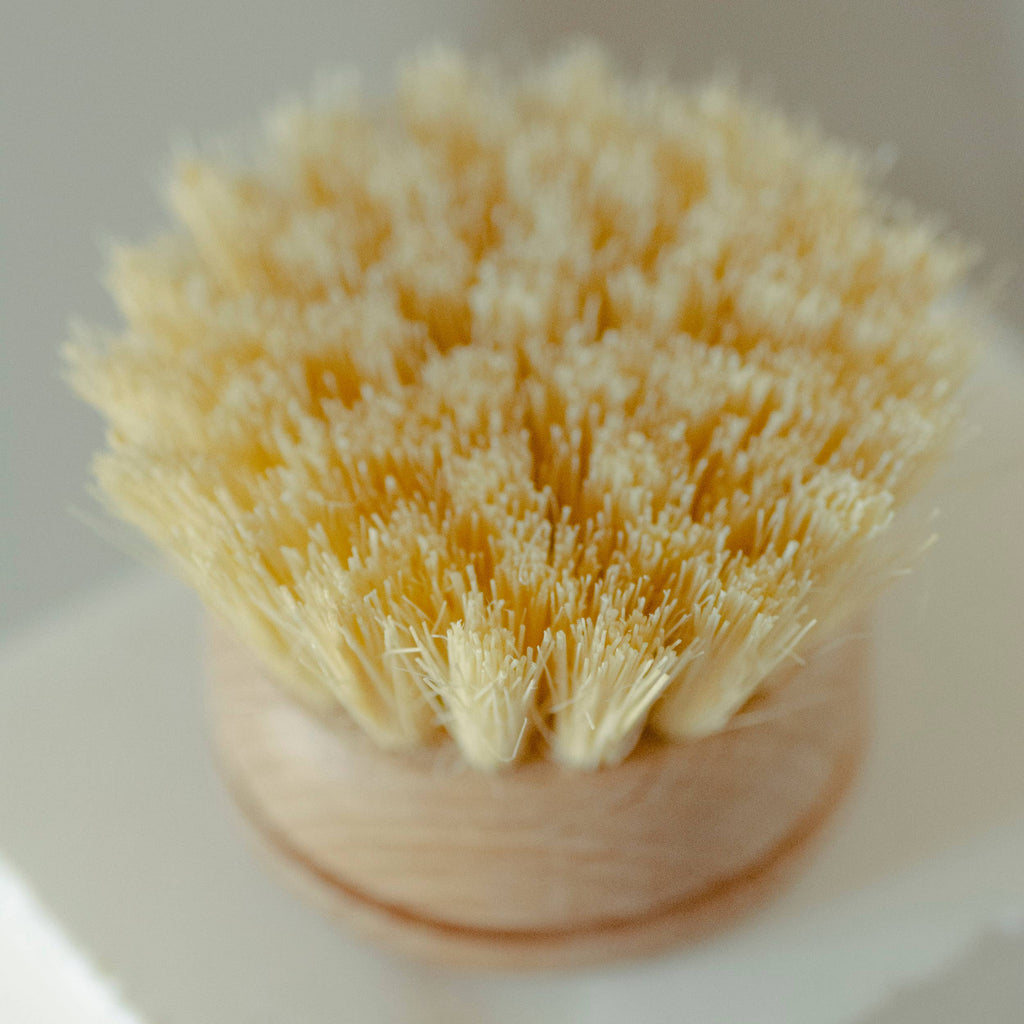 No Tox Life - CASA AGAVE® Long Handle Dish Brush White Teak - No Tox Life