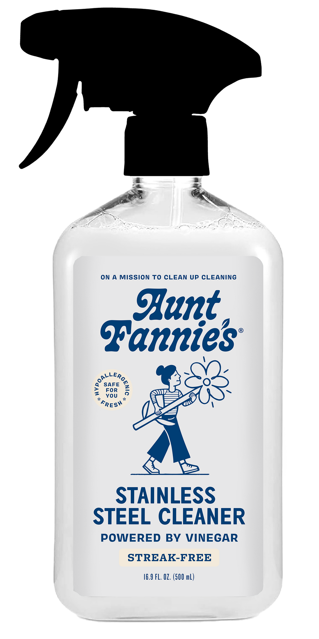 Aunt Fannie's - Stainless Steel Cleaner