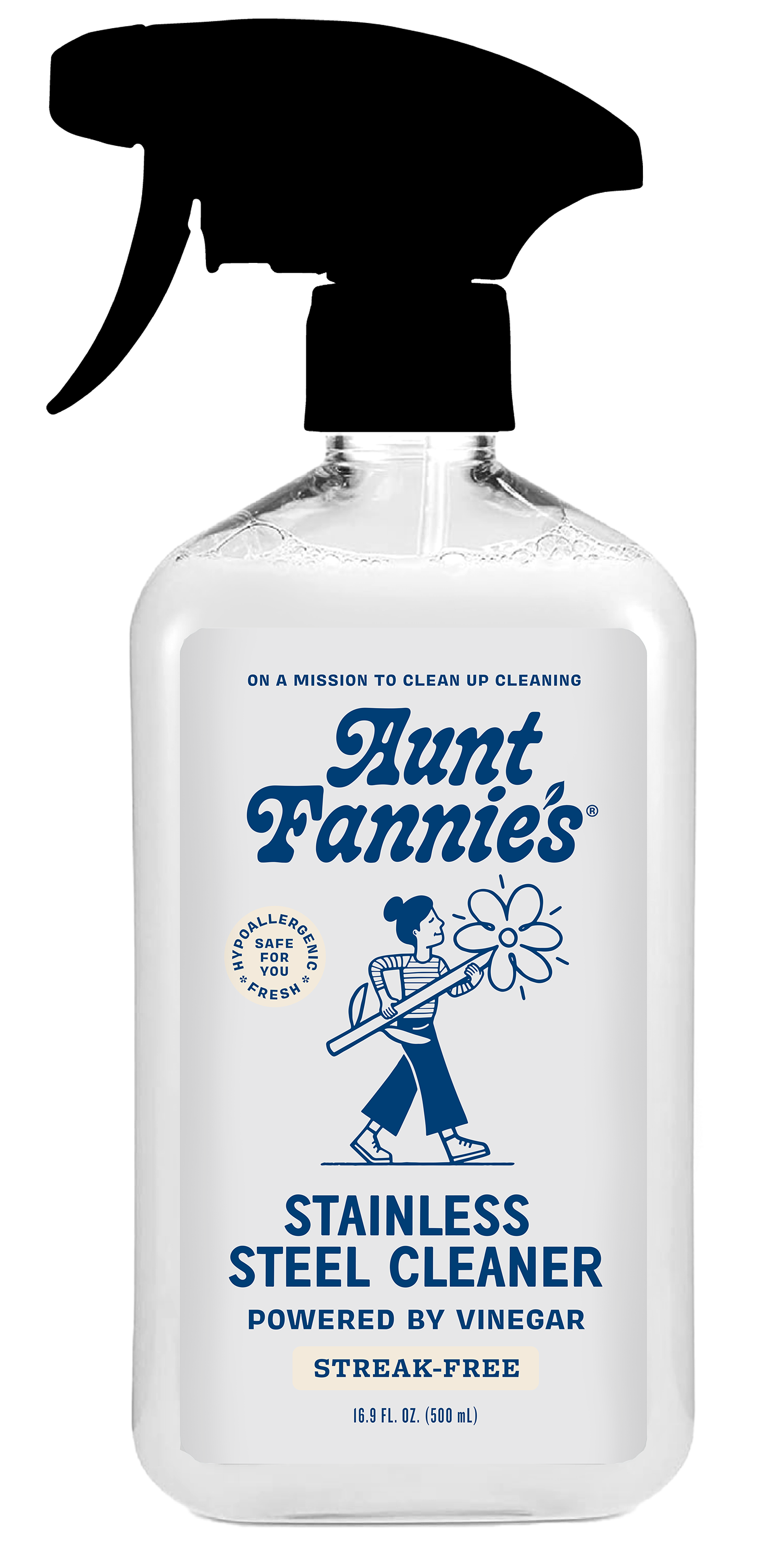 Aunt Fannie's - Stainless Steel Cleaner