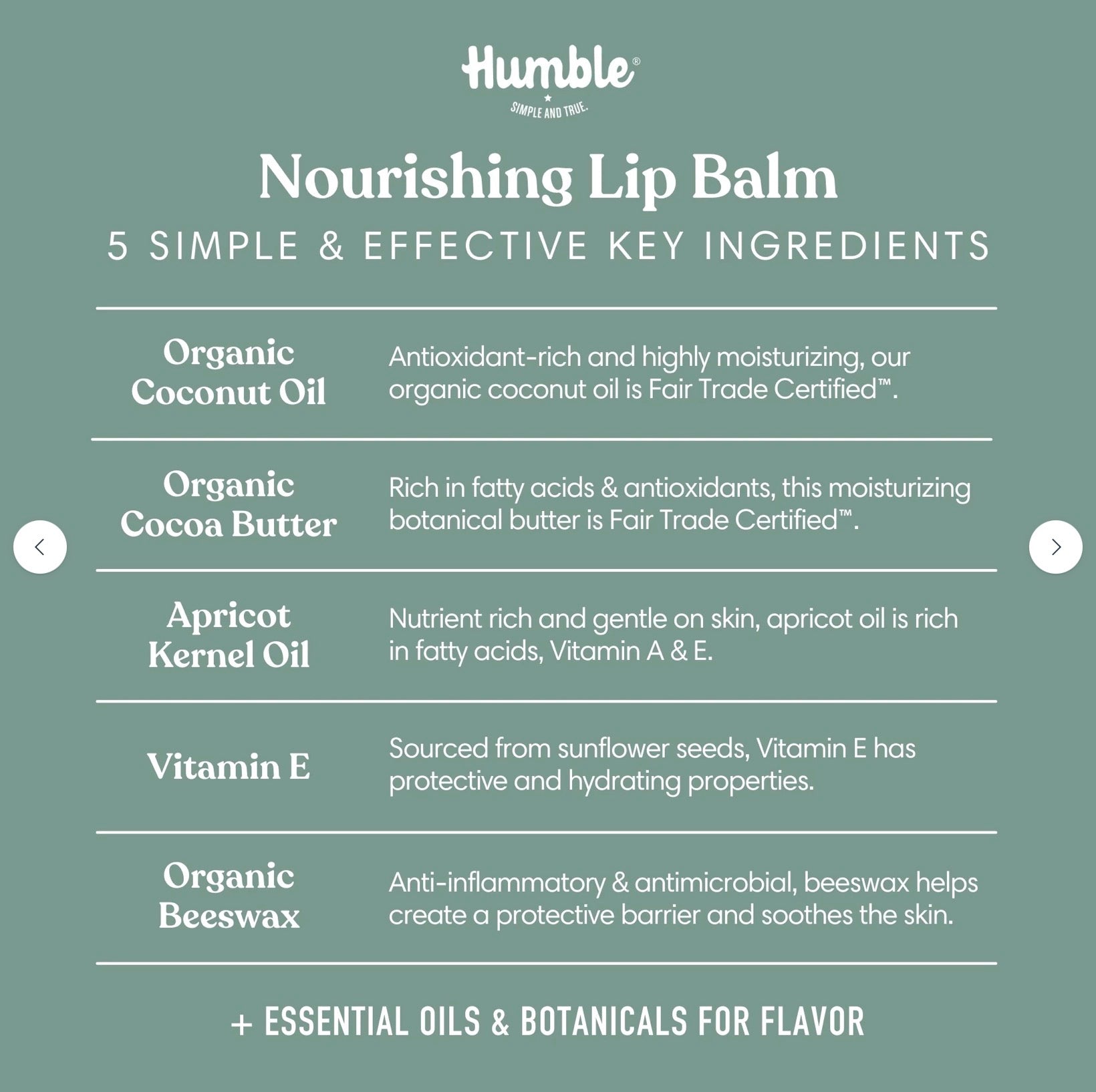 Humble French Peppermint Plastic-free Lip Balm