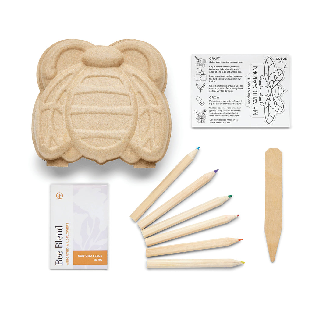 Modern Sprout - Curious Critters Activity Kit