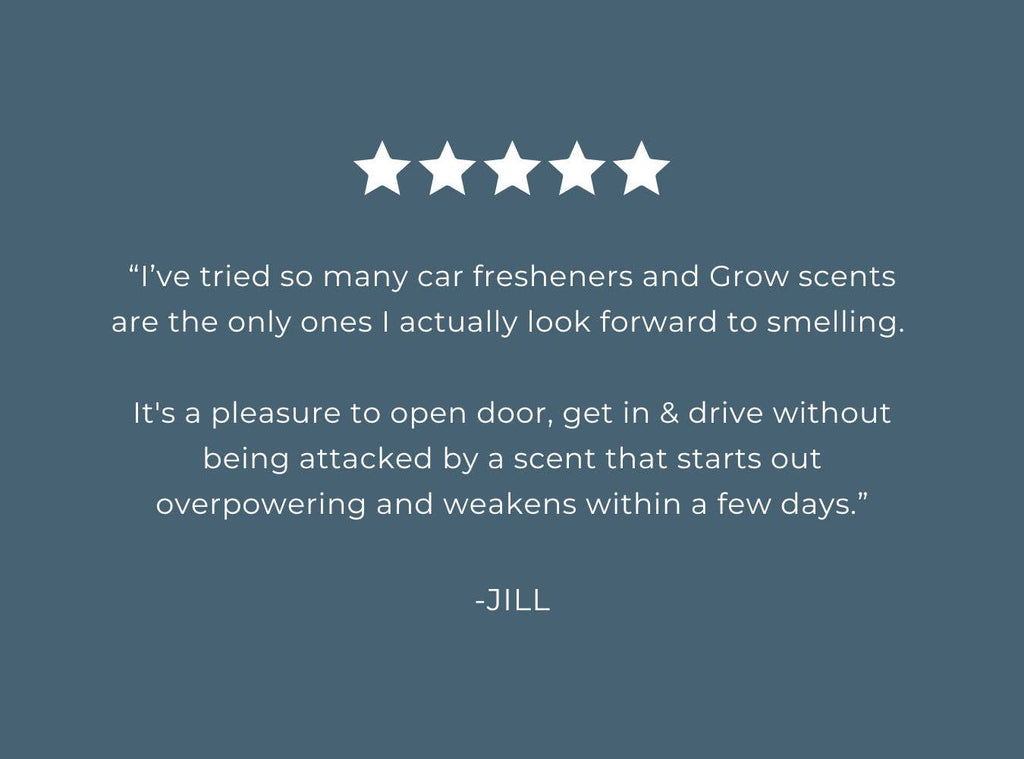 Pacific Driftwood Car Freshener