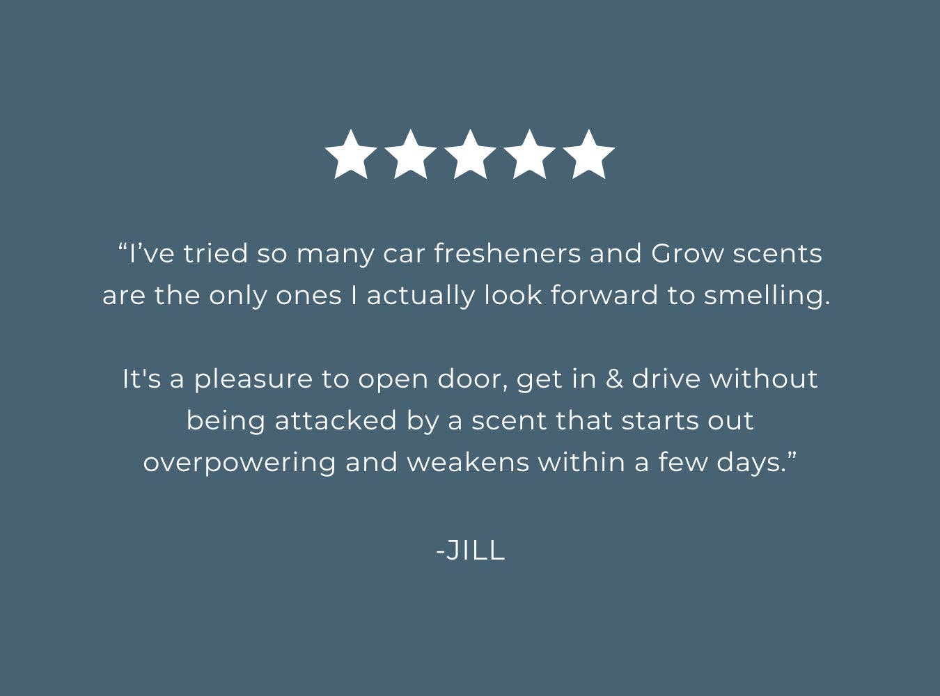 Pacific Driftwood Car Freshener