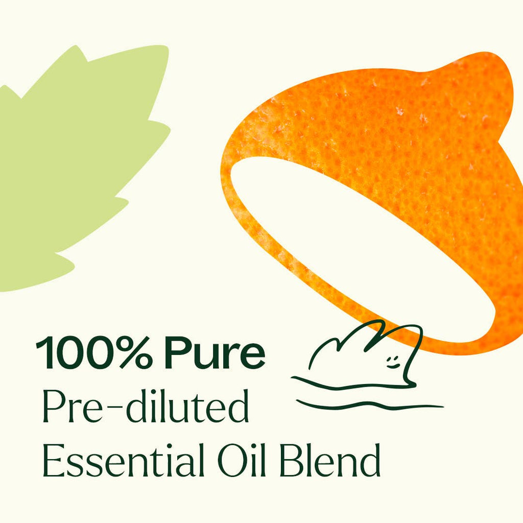 Plant Therapy - Motion Sickness Essential Oil Blend Pre-Diluted Roll-On 10mL