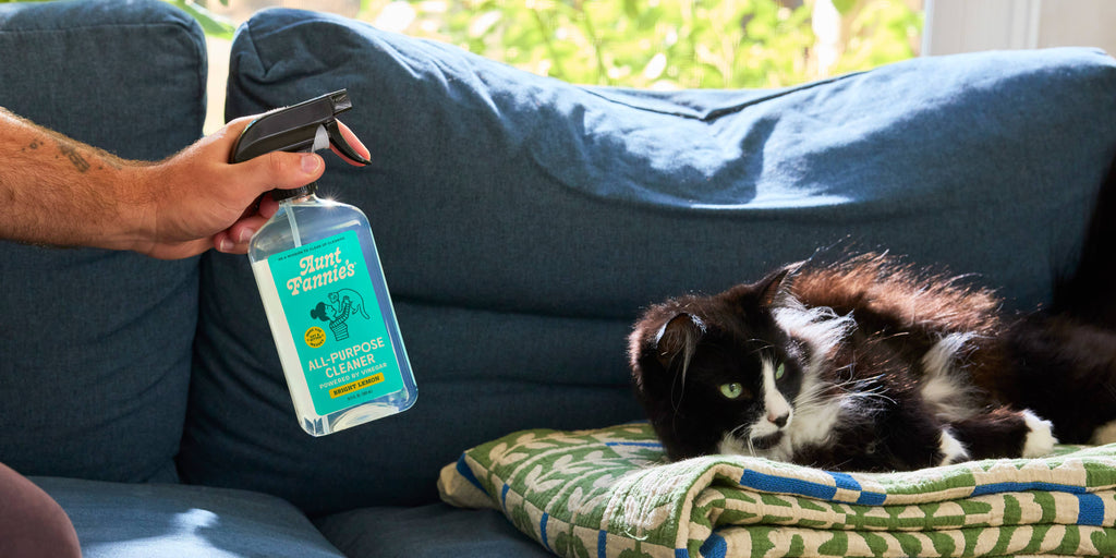 Aunt Fannie's - Vinegar Cleaner - Bright Lemon (Great for Cats!)