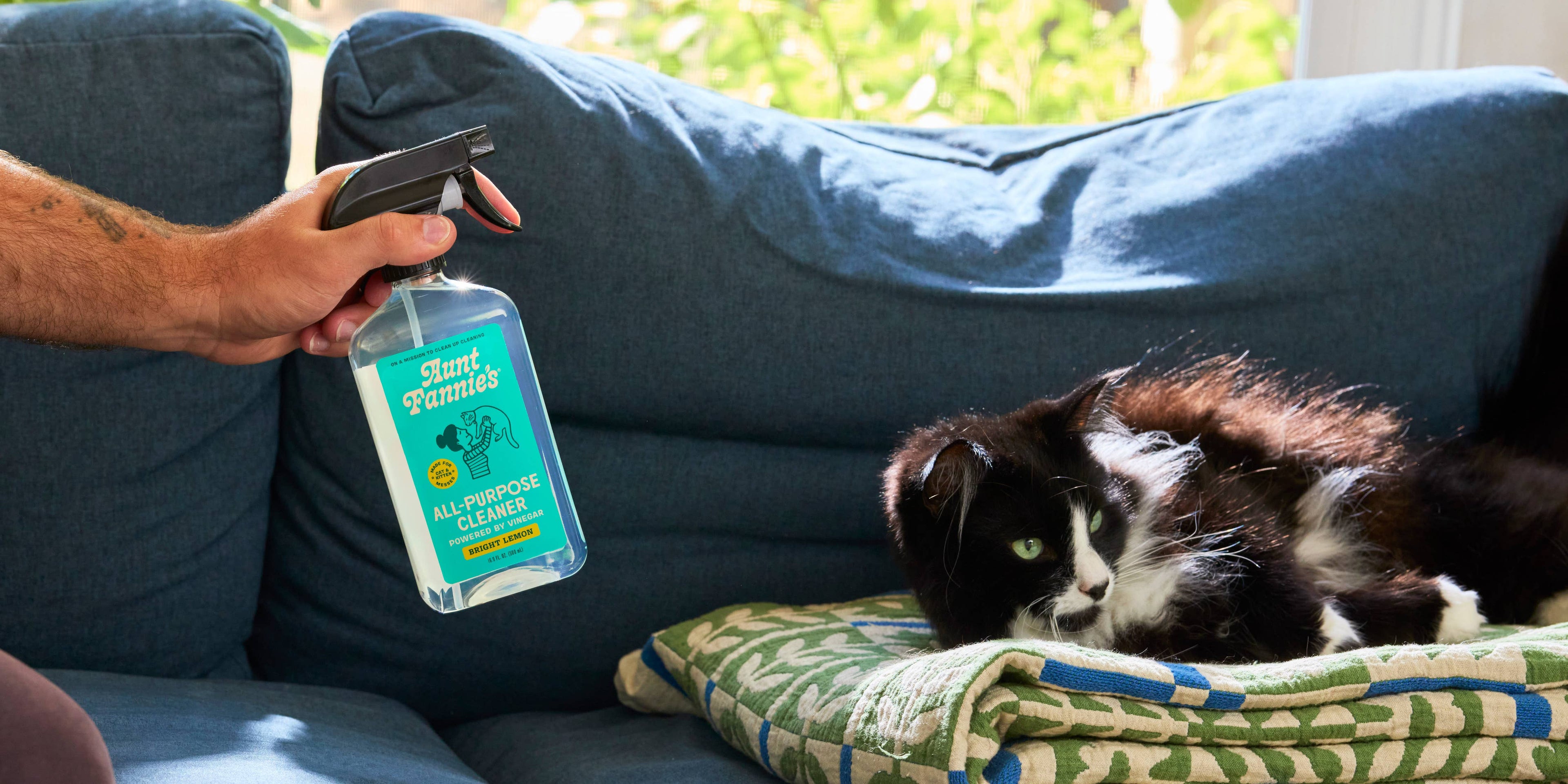 Aunt Fannie's - Vinegar Cleaner - Bright Lemon (Great for Cats!)
