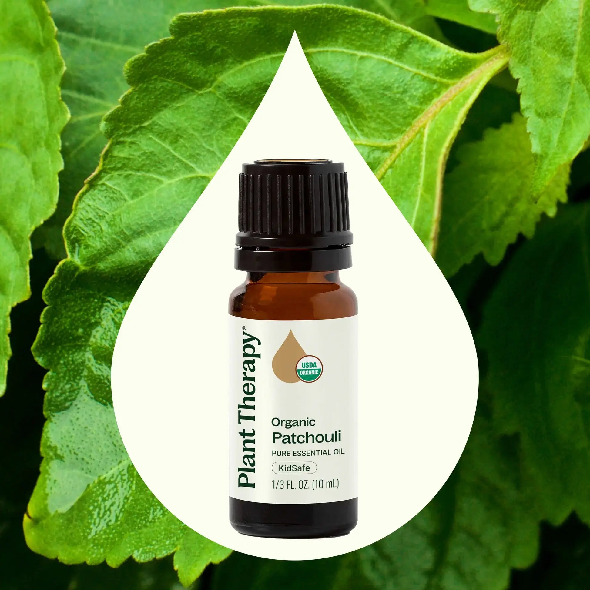 Plant Therapy - Organic Patchouli Essential Oil 10 mL