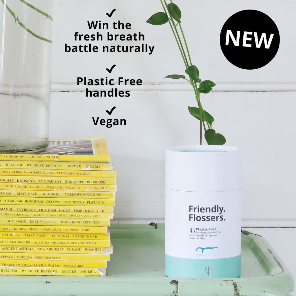 NFco Biodegradable Floss Picks 45 Pack