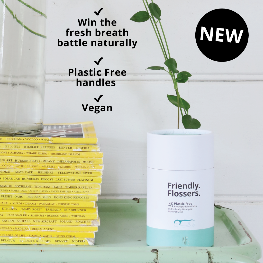 NFco Biodegradable Floss Picks 45 Pack
